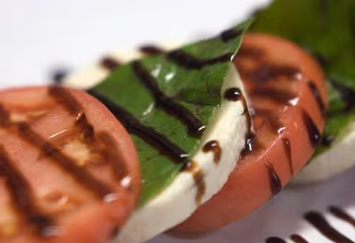 RV camping expeditions