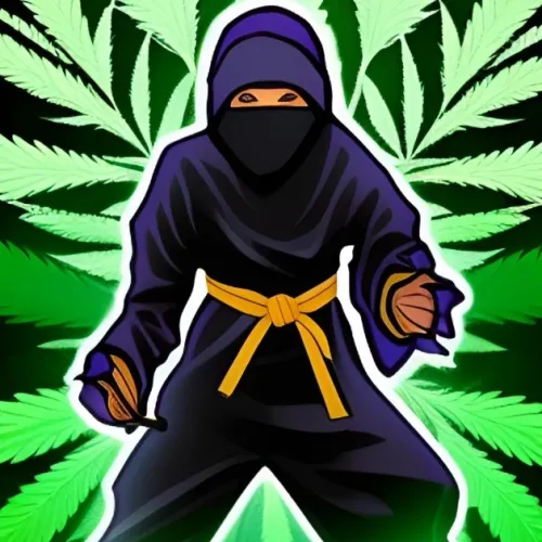 Rasta Ninja