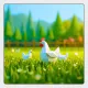 Chicken Farm