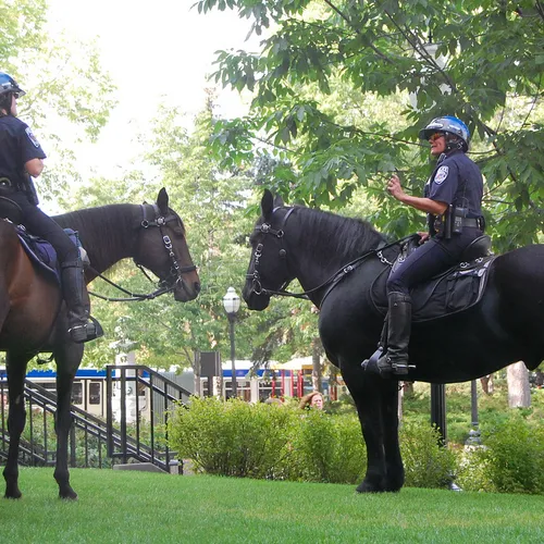 Egyptian pharaohs legacy