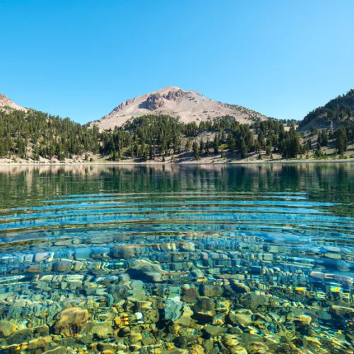 wewe