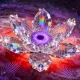 Astral Bloom