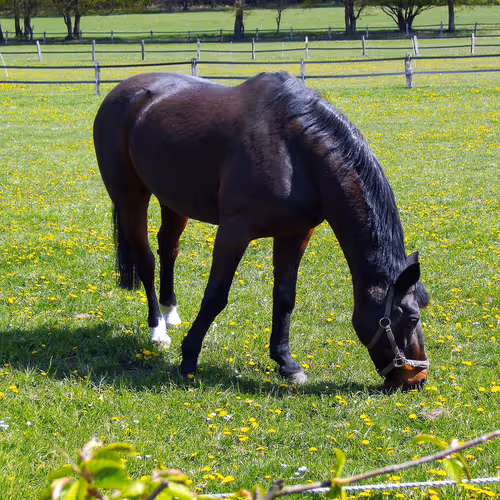 Empathy and resilience