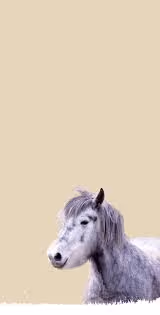 Antarctic polar expeditions