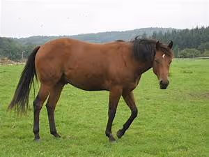 Wealth management insights