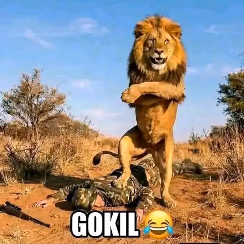 GOKIL