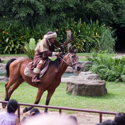 Desert oasis retreats