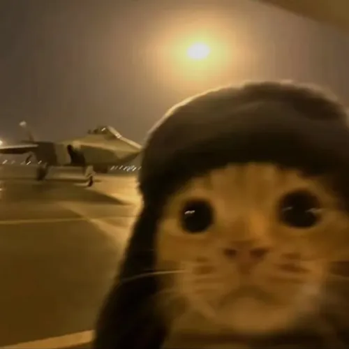 JETCAT