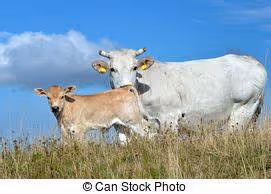 Artistic expression workshops