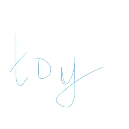 toy