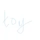 toy