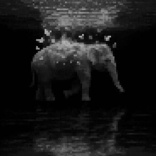 Elly and Butterflies