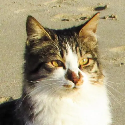 Sustainable living practices