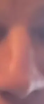 Petuh
