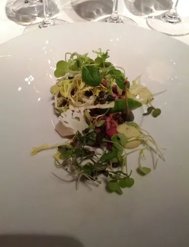 Fluency through immersion