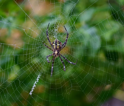 Literary creativity nurtured