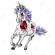 PEGASUS SOMI