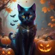 Kitty