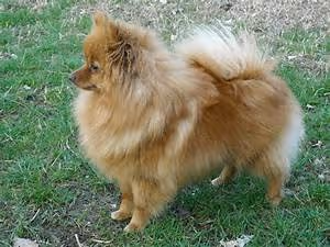 Self-growth empowerment