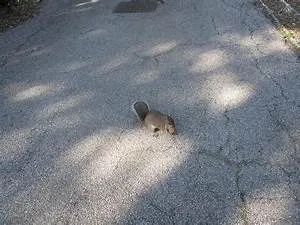 AI revolution unfolding