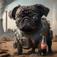 Somniac PUG