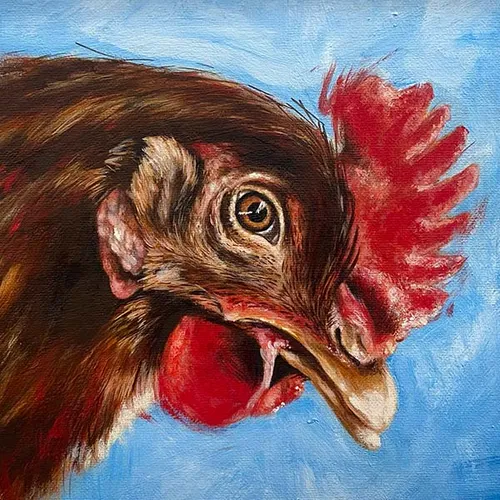 Chicken9