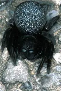 Ancient civilizations mysteries