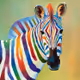HAPPY ZEBRA