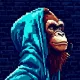 SOMNIA APES