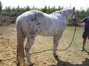 Arctic wilderness journeys