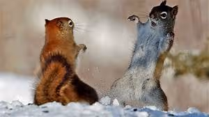 Lost civilization mysteries