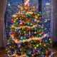 new year