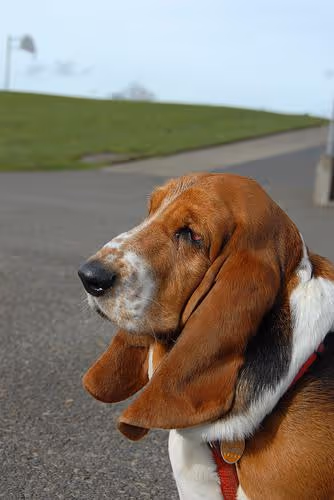 Hidden treasure hunt