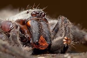 Nautical journeys abroad