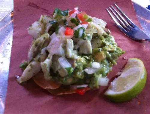 Antarctic polar expeditions