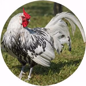 Time-traveling adventures