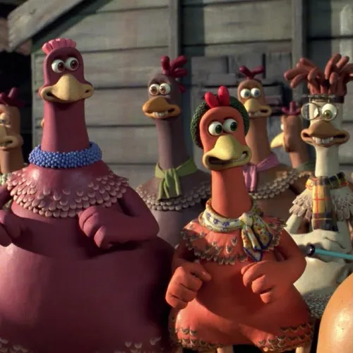 chickens