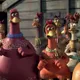 chickens