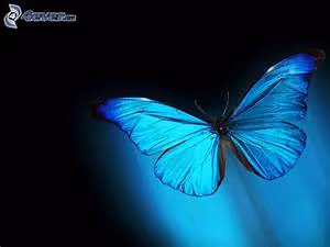 Pyramids and temples exploration