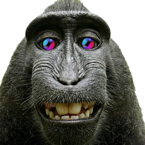 qwr