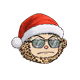 HOHOHO