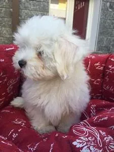 Culinary skills honed