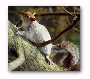 Ancient civilizations mysteries