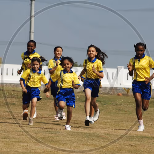 SomniacSportsDay