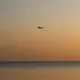 fly