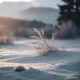 Tales of a Somniac