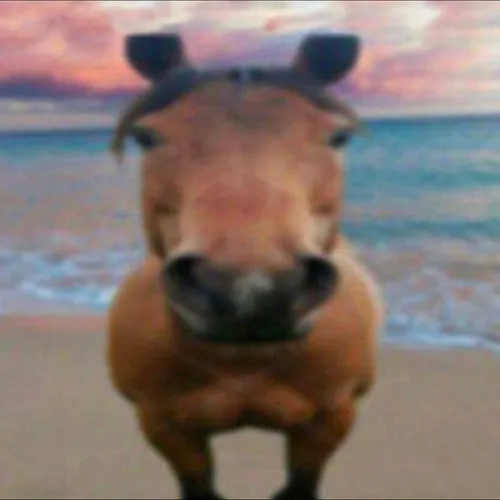 dgdg