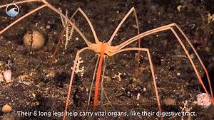 Leadership training programs