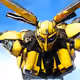 bee