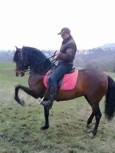 Space colonization dreams